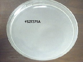 Sam's Marine International, Inc.