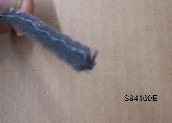 Sam's Marine International, Inc.